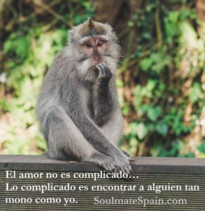 Read more about the article Lo complicado del amor es encontrar a alguien tan mono como tu